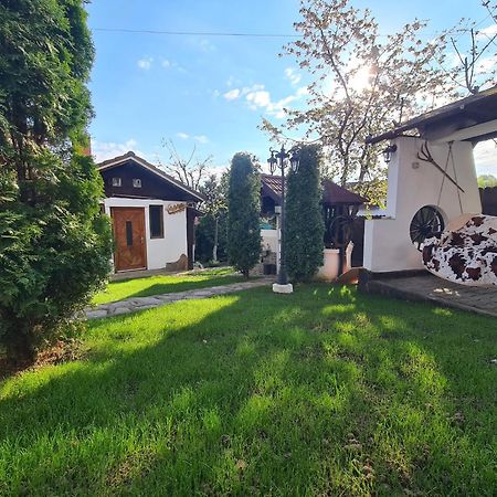 Hotel Casa Bonita Saliste Zewnętrze zdjęcie