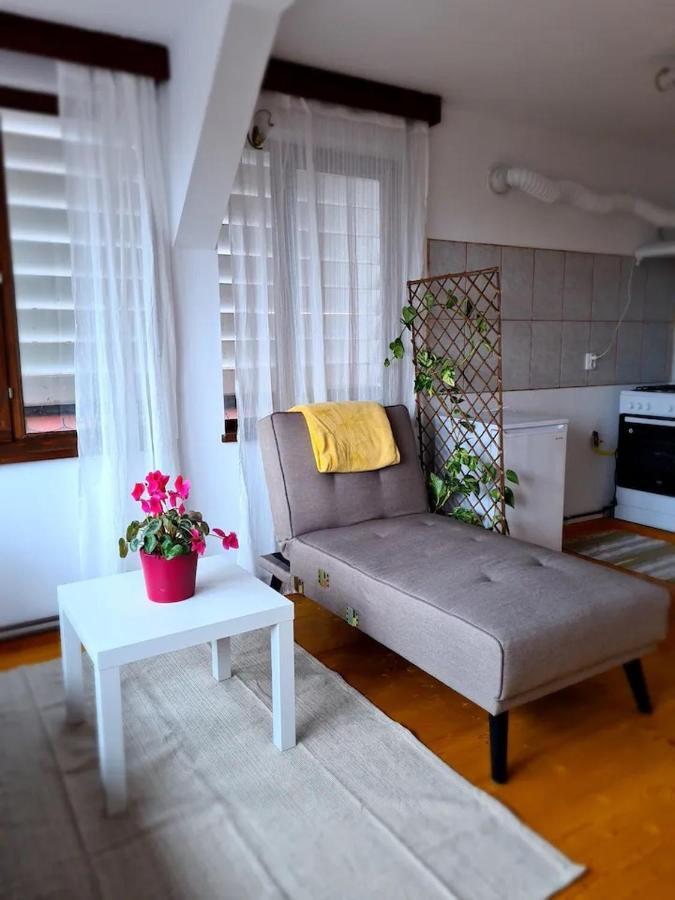 Hotel Casa Bonita Saliste Zewnętrze zdjęcie