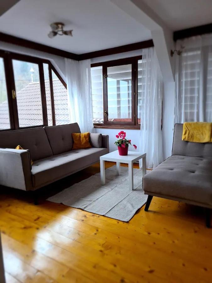 Hotel Casa Bonita Saliste Zewnętrze zdjęcie