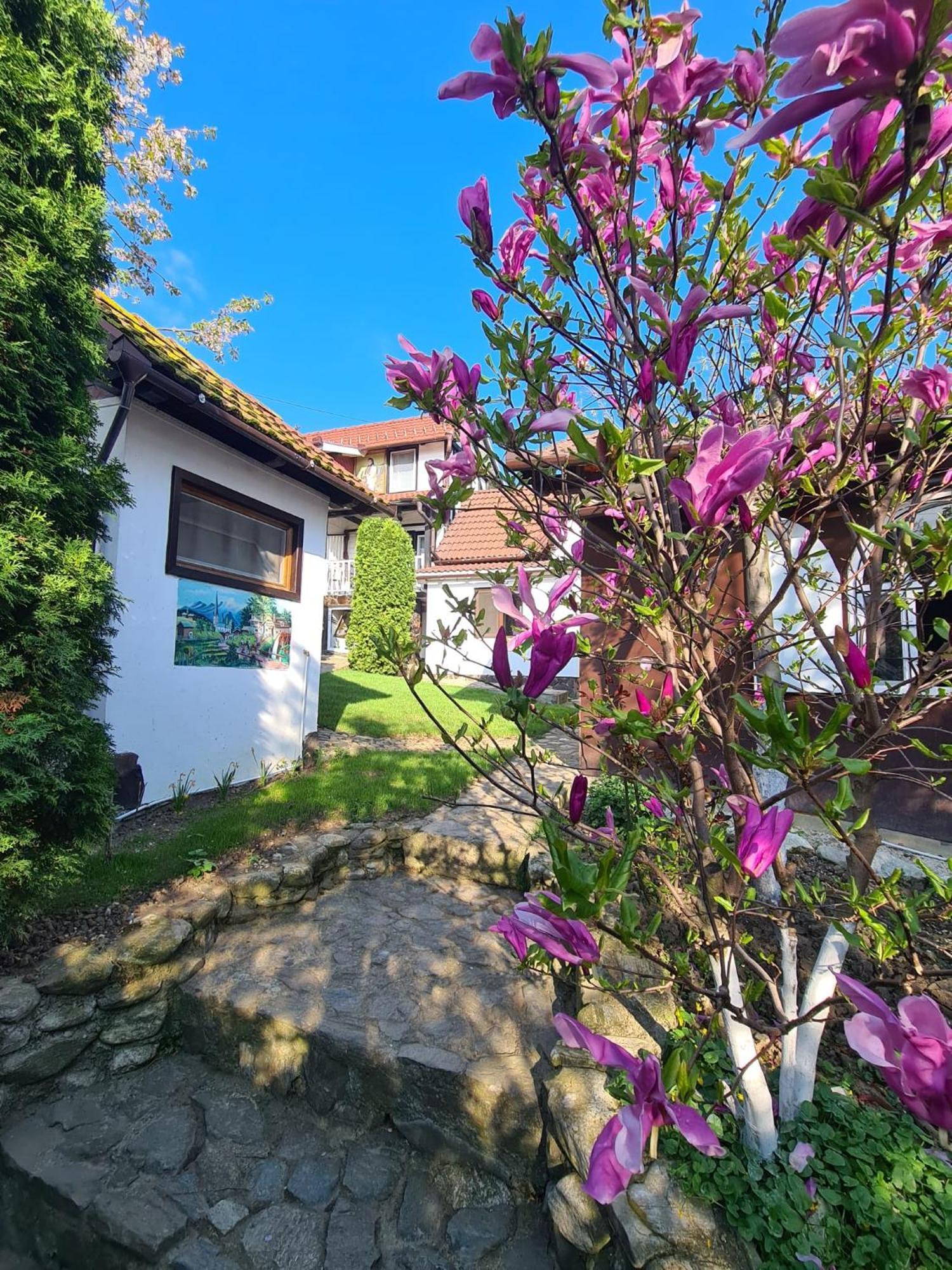Hotel Casa Bonita Saliste Zewnętrze zdjęcie